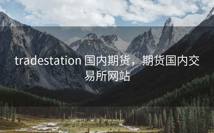 tradestation 国内期货，期货国内交易所网站