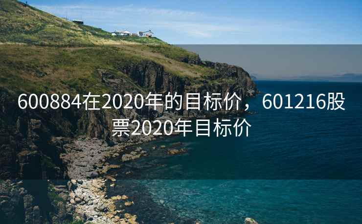600884在2020年的目标价，601216股票2020年目标价