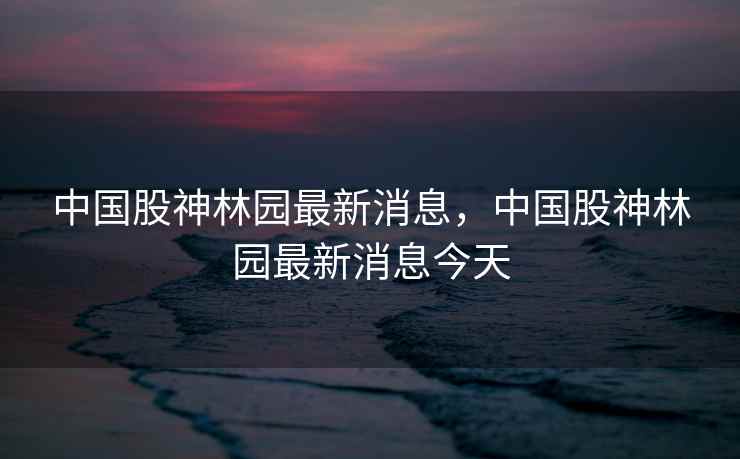 中国股神林园最新消息，中国股神林园最新消息今天  第2张