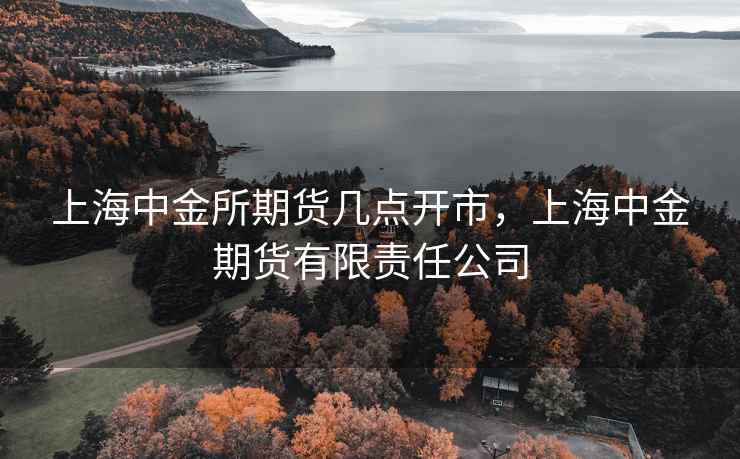 上海中金所期货几点开市，上海中金期货有限责任公司  第2张