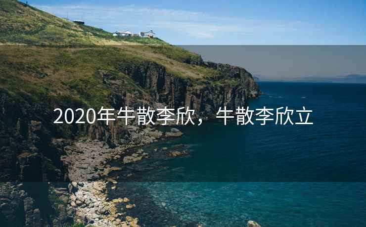 2020年牛散李欣，牛散李欣立