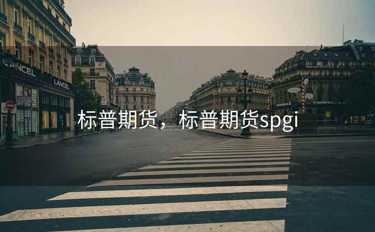 标普期货，标普期货spgi  第2张
