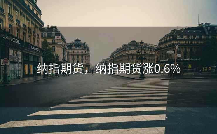 纳指期货，纳指期货涨0.6%  第1张