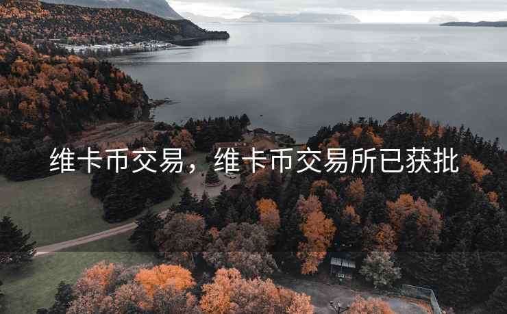 维卡币交易，维卡币交易所已获批