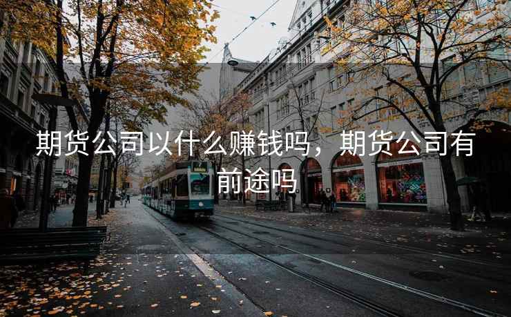 期货公司以什么赚钱吗，期货公司有前途吗