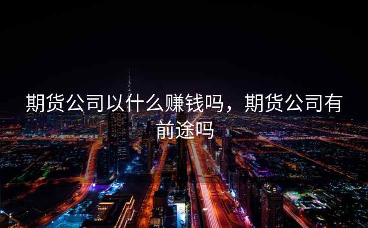 期货公司以什么赚钱吗，期货公司有前途吗