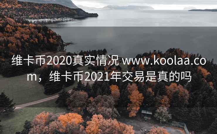 维卡币2020真实情况 www.koolaa.com，维卡币2021年交易是真的吗