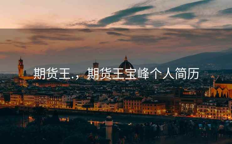 期货王.，期货王宝峰个人简历