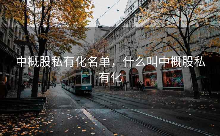 中概股私有化名单，什么叫中概股私有化  第1张