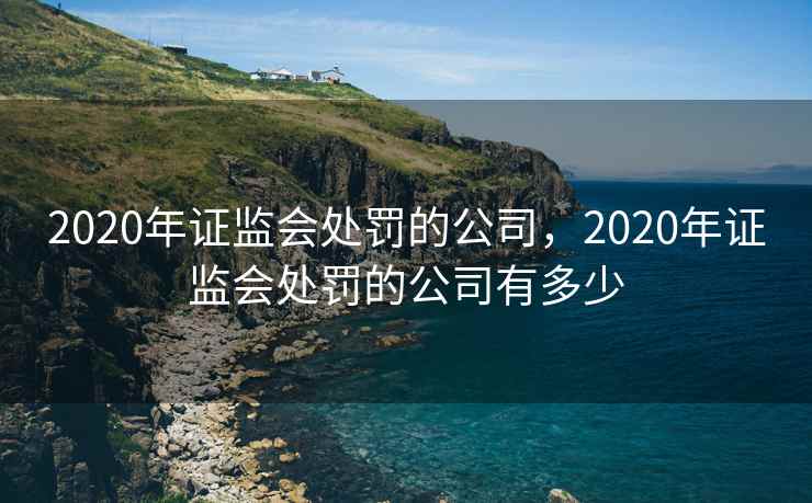 2020年证监会处罚的公司，2020年证监会处罚的公司有多少