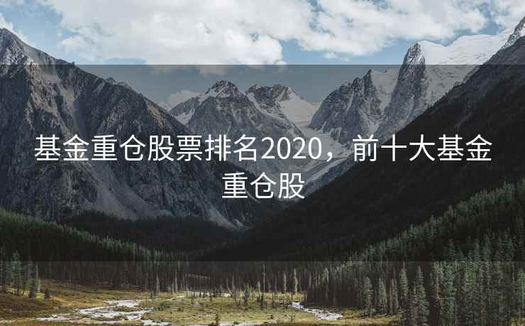 基金重仓股票排名2020，前十大基金重仓股