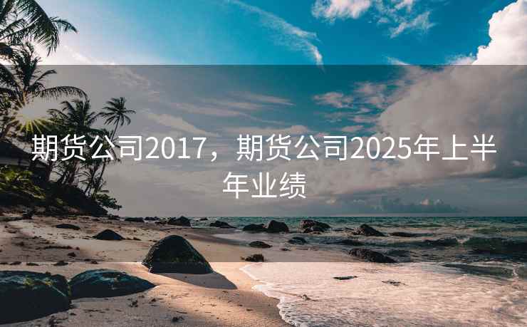 期货公司2017，期货公司2025年上半年业绩